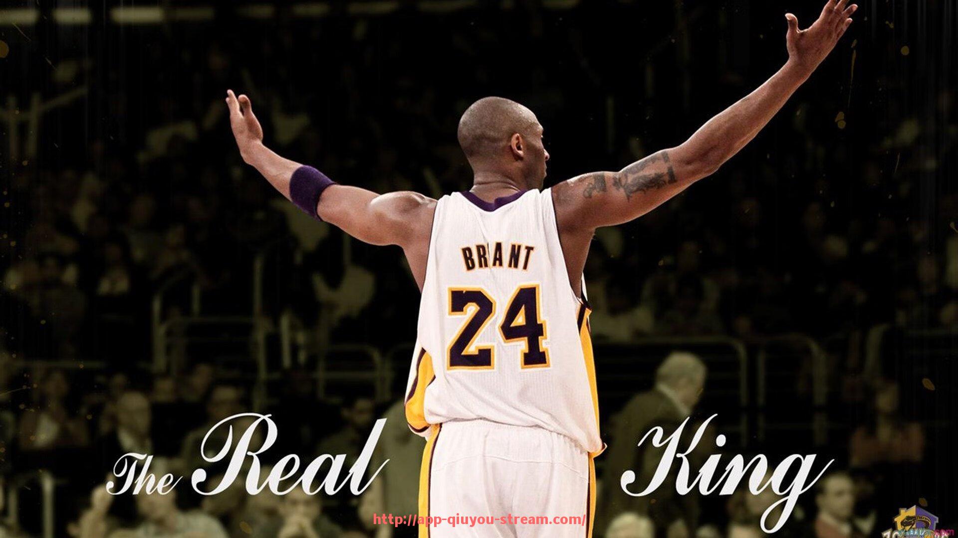 球友体育直播-意甲南北球队分布：意甲联赛中南北方球队的分布与文化差异